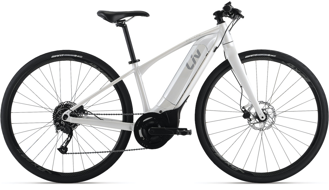 シマクル2025】レンタサイクル | 大阪サイクリングツアー体験